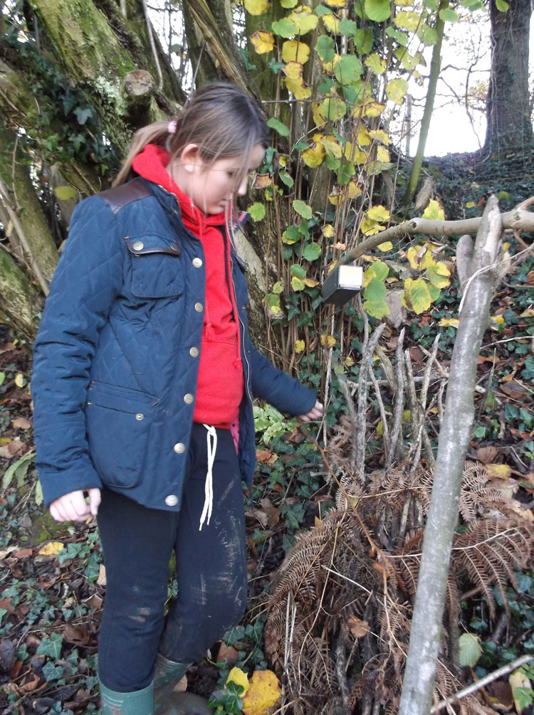 Putting Dormice Boxes in Place Photo 1