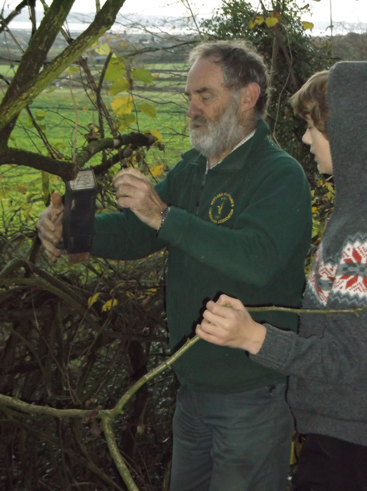 Putting Dormice Boxes in Place Photo 2