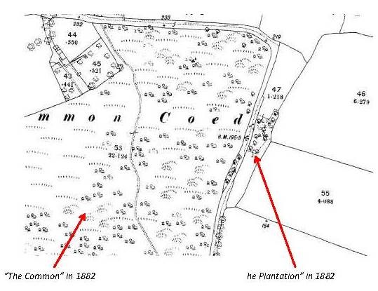 1882 Map